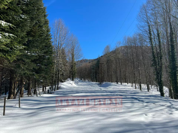 SAKARYA AKYAZI KEREMALİ 