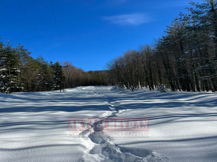 SAKARYA AKYAZI KEREMALİ 