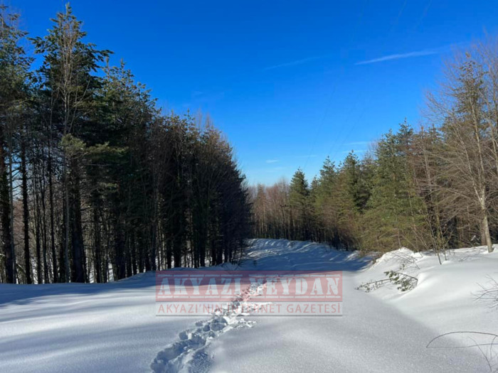 SAKARYA AKYAZI KEREMALİ 