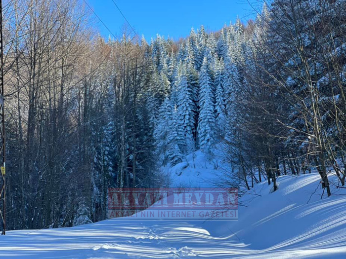 SAKARYA AKYAZI KEREMALİ 