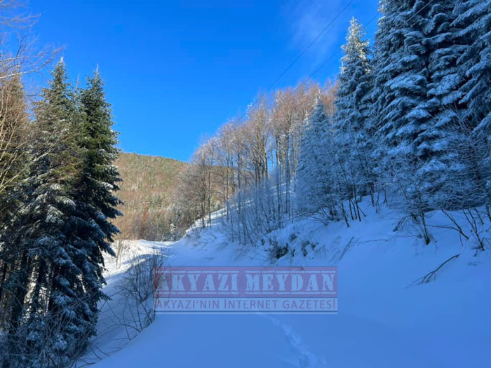 SAKARYA AKYAZI KEREMALİ 