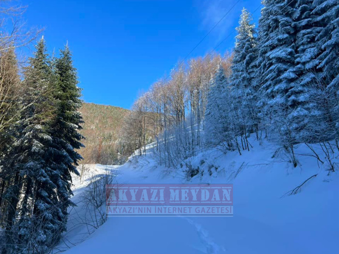 SAKARYA AKYAZI KEREMALİ 