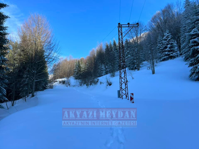 SAKARYA AKYAZI KEREMALİ 