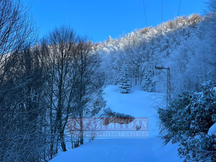 SAKARYA AKYAZI KEREMALİ 