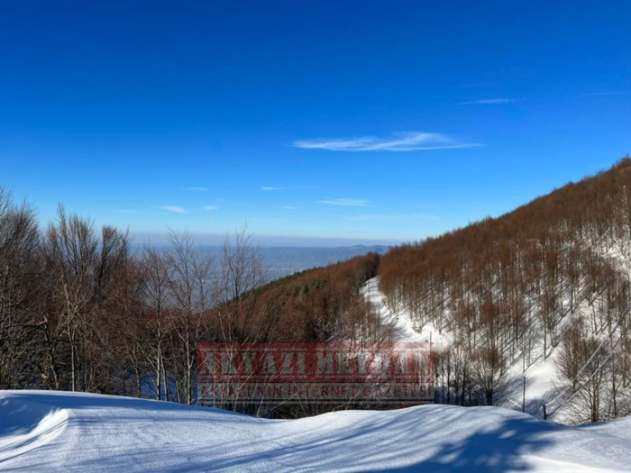 SAKARYA AKYAZI KEREMALİ 