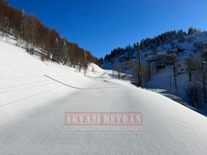 SAKARYA AKYAZI KEREMALİ 