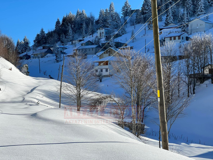 SAKARYA AKYAZI KEREMALİ 