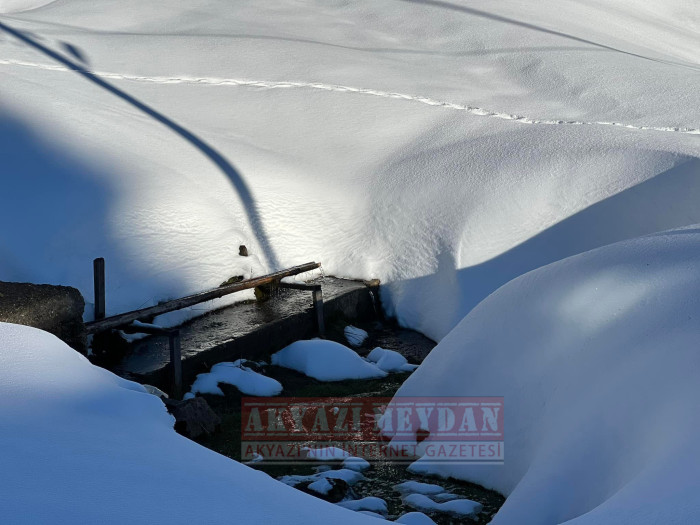 SAKARYA AKYAZI KEREMALİ 