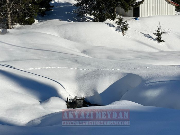 SAKARYA AKYAZI KEREMALİ 