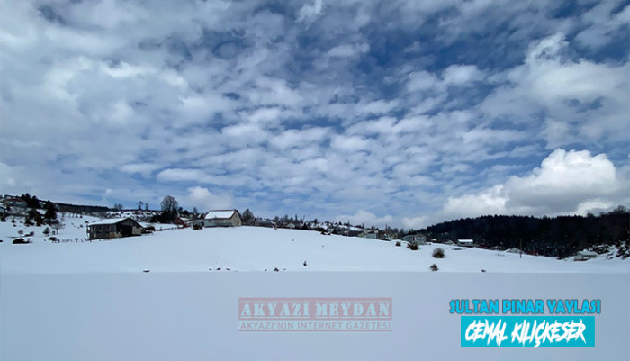 SULTAN PINAR YAYLASI
