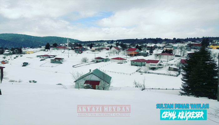 SULTAN PINAR YAYLASI