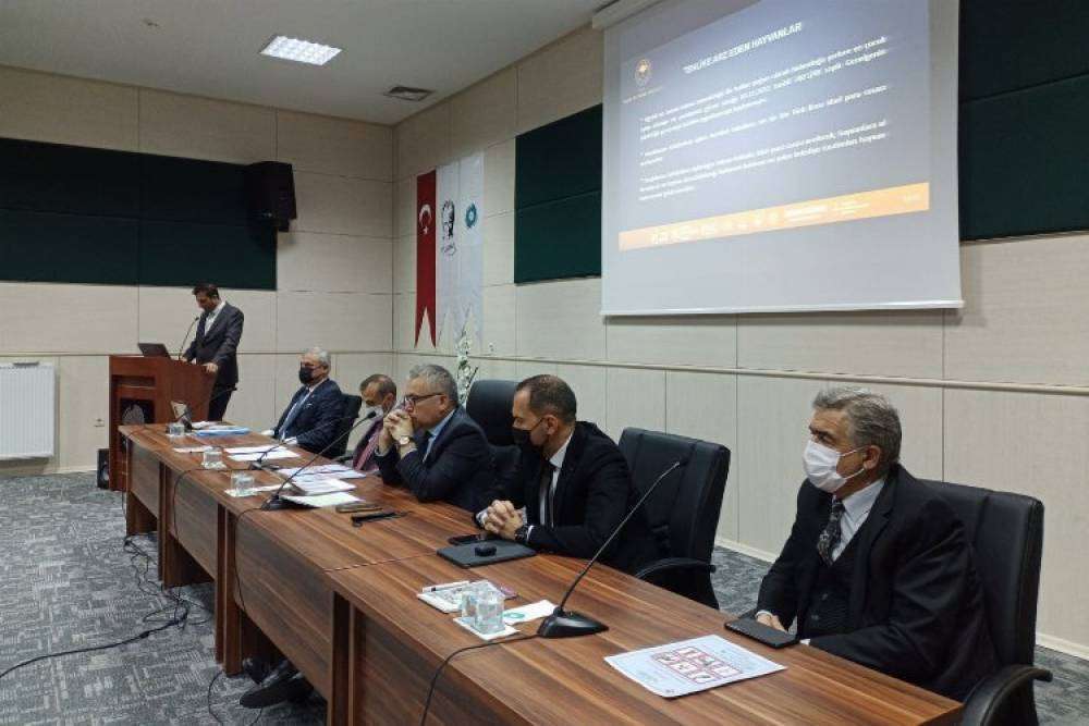 Hayvanları Korumu Kurulu Toplantısı yapıldı 