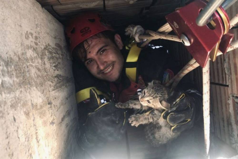 Sakarya'da itfaiye erleri yavru kediyi kurtardı