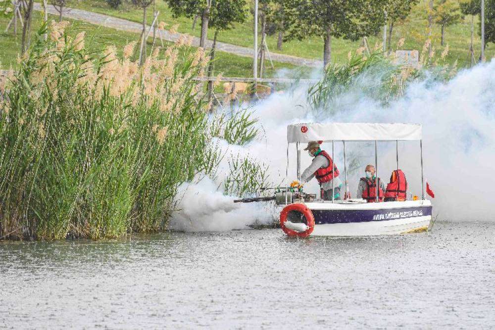 Başkentte vekt&ouml;r alarmı