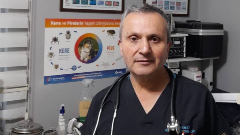 Veteriner Hekim Mustafa Yıldız: ‘Dişi hayvanlar kurban edilmesin’ 