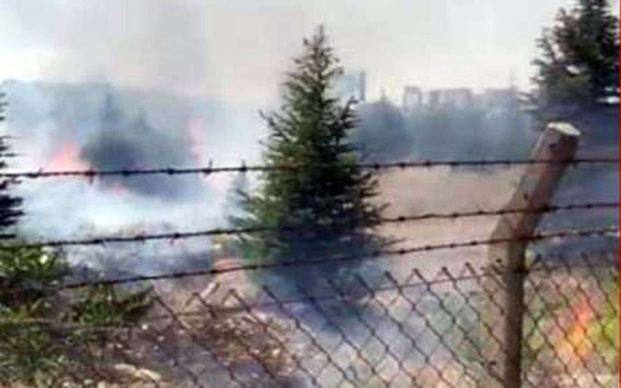 Ankara Atat&uuml;rk Orman &Ccedil;iftliği&rsquo;nde yangın