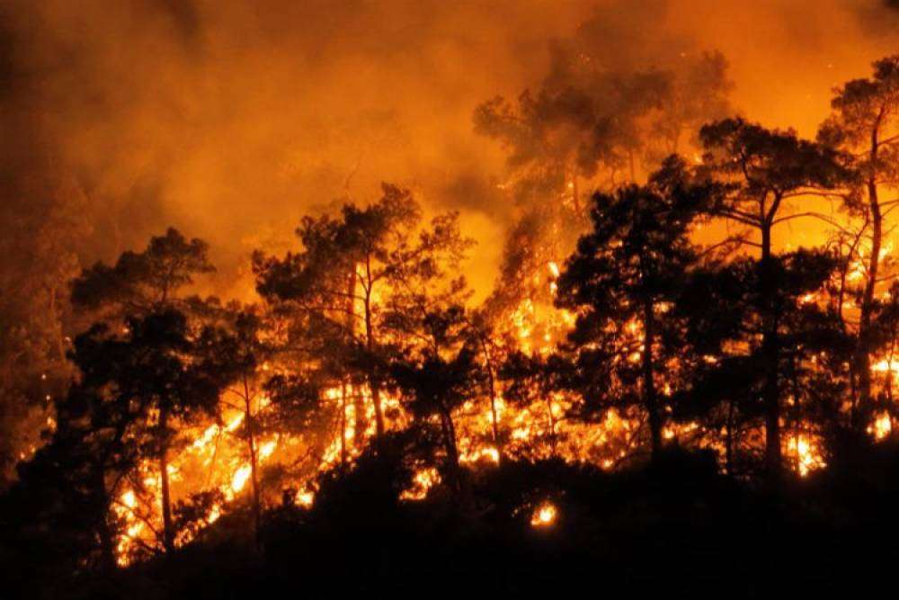 Turizm cenneti alevler i&ccedil;inde kaldı