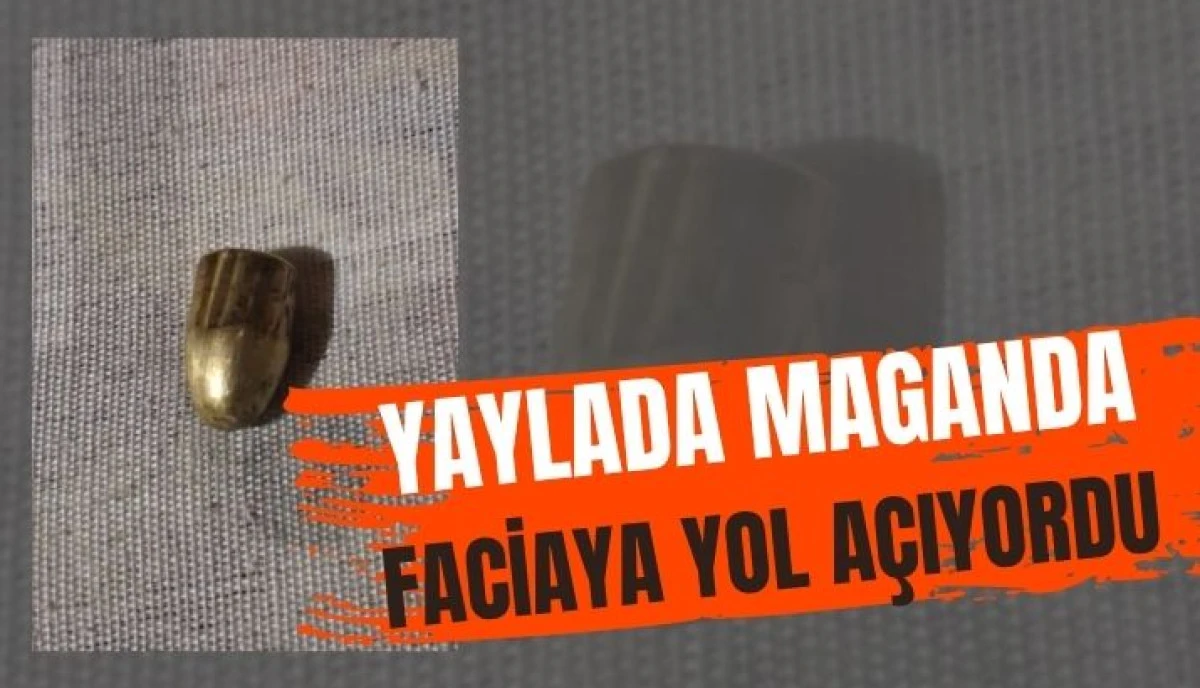 Akyazı Sultanpınarı Yaylası'nda Yorgun Mermi Dehşeti Faciadan Kıl Payı D&ouml;n&uuml;ld&uuml;