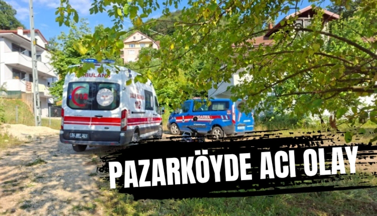 Akyazı'da Acı Olay: Ihlamur Toplamak İ&ccedil;in &Ccedil;ıktığı Ağa&ccedil;tan D&uuml;şerek Hayatını Kaybetti