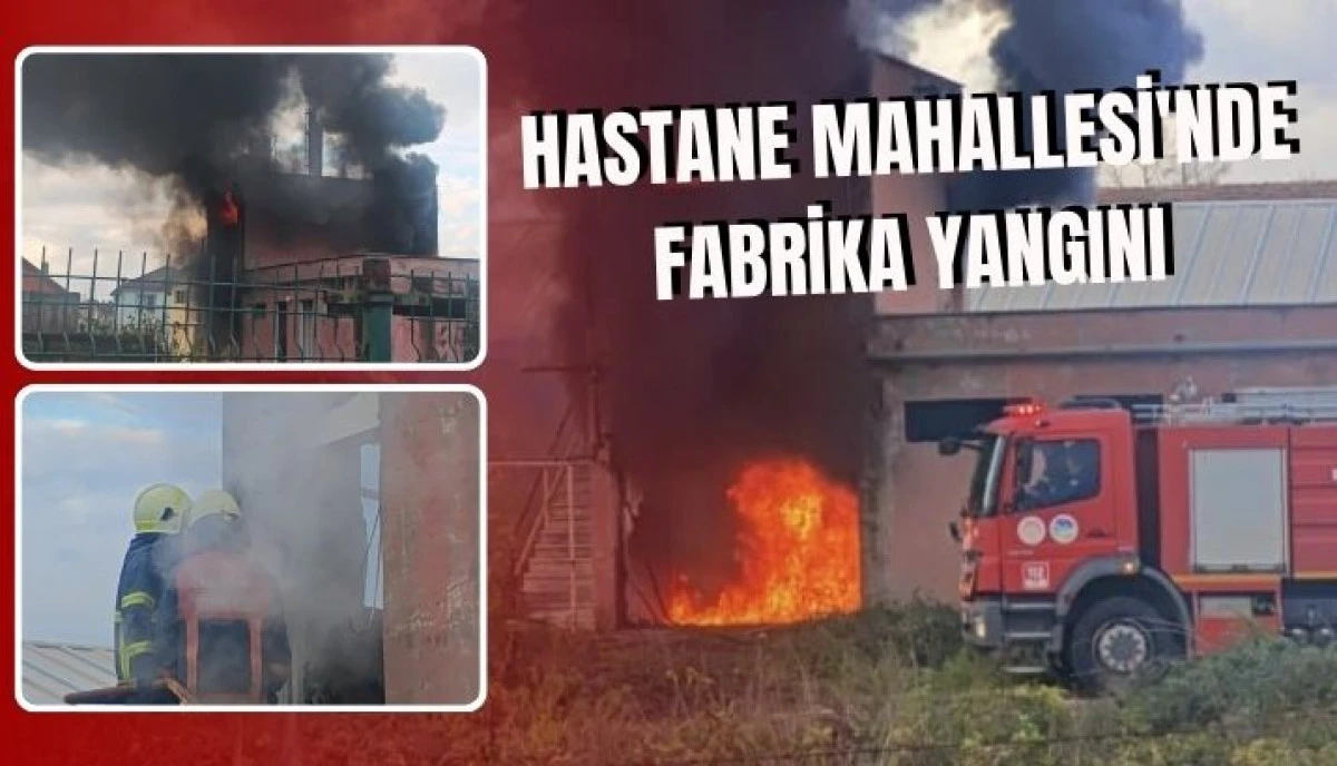 Akyazı'da Atıl S&uuml;t Fabrikasında Yangın Korkuttu!