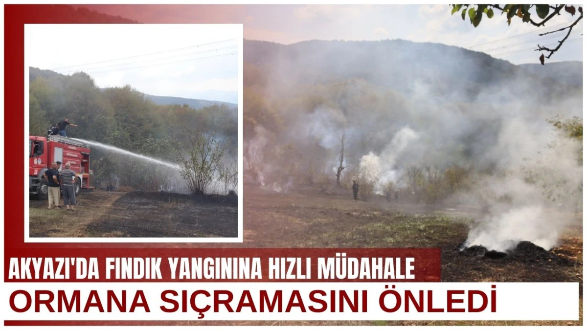Akyazı'da Fındık Bahçesi Yangını Büyük Bir İşbirliğiyle Kontrol Altına Alındı