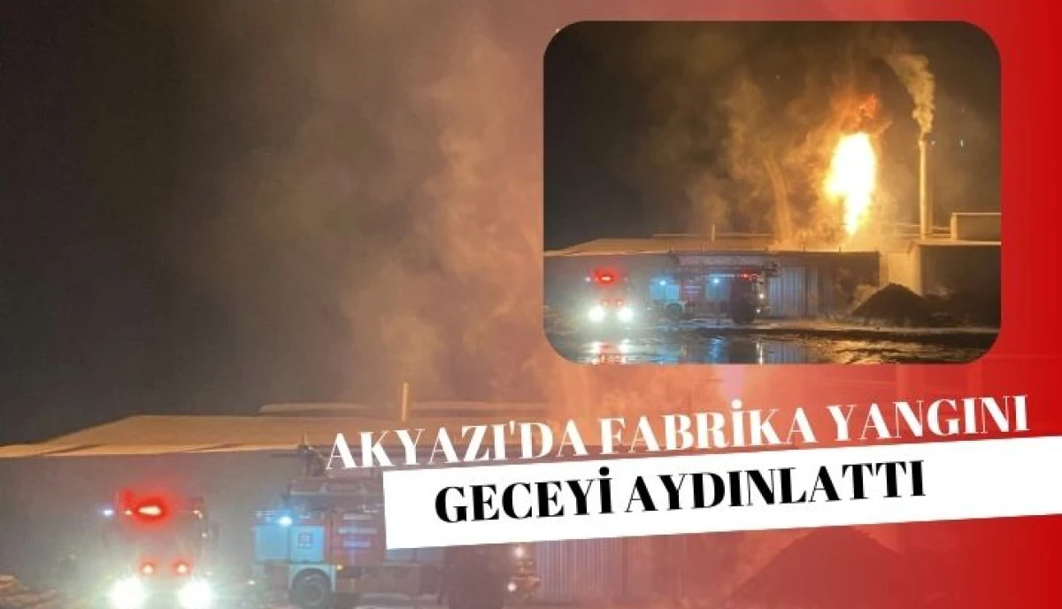 Akyazı&rsquo;da Orman &Uuml;r&uuml;nleri Fabrikasında Korkutan Yangın: Ekipler Seferber Oldu