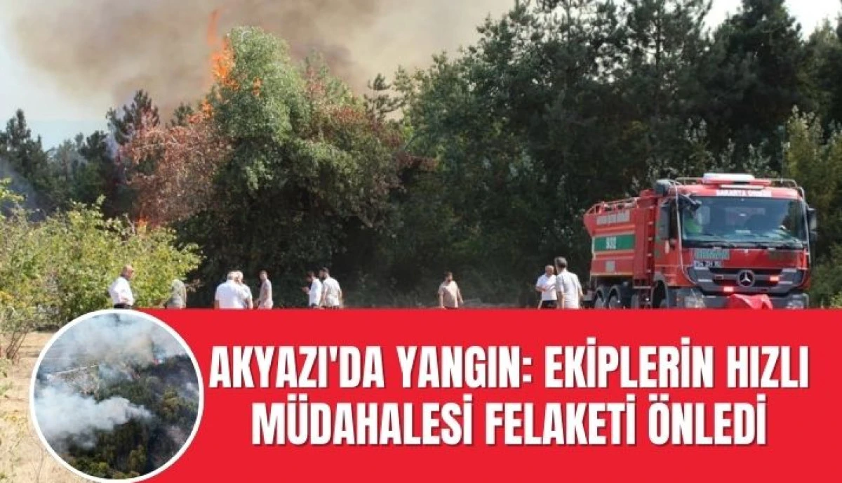 Akyazı'da Orman Yangını Söndürüldü