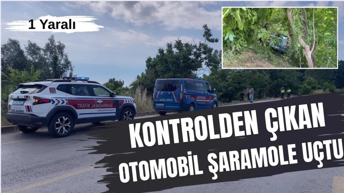 Akyazı&rsquo;da Trafik Kazası Şarampole U&ccedil;an Otomobilin S&uuml;r&uuml;c&uuml;s&uuml; Yaralandı