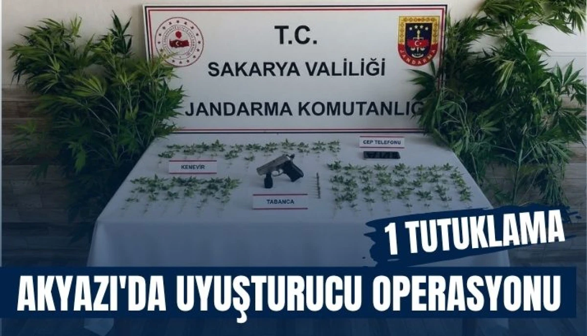Akyazı'da Zehir Tacirlerine Ge&ccedil;it Yok! Evinde Kenevir Yetiştiren Ş&uuml;pheli Tutuklandı