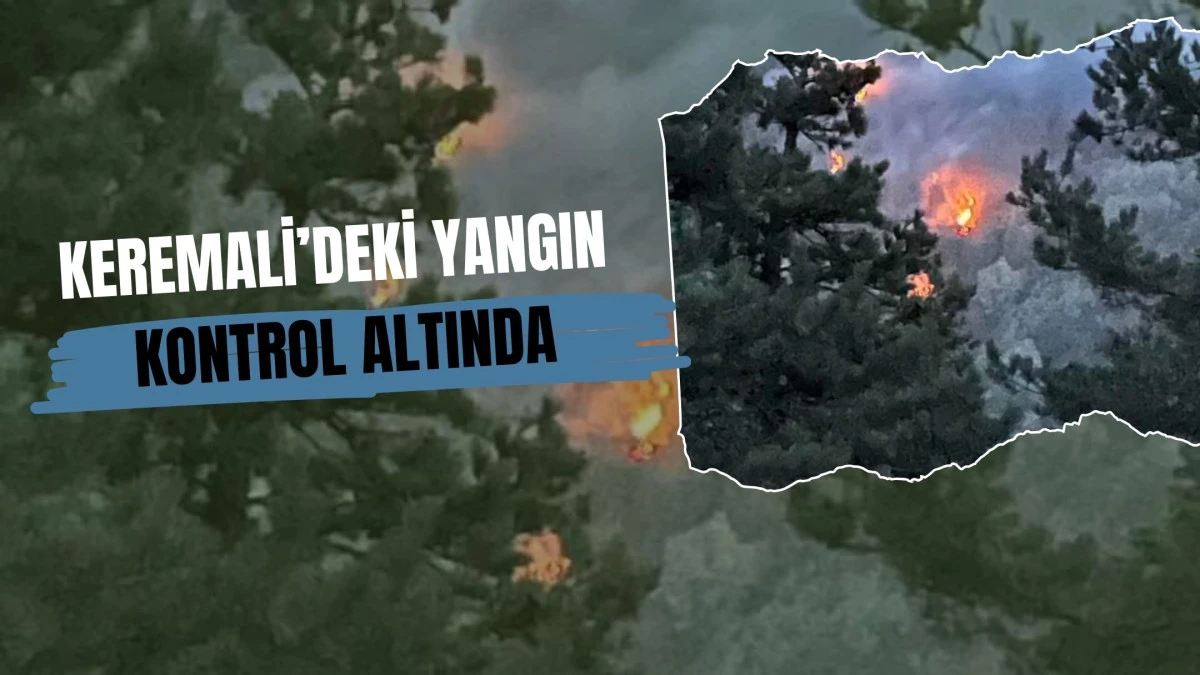Akyazı'daki Orman Yangını Kontrol Altına Alındı