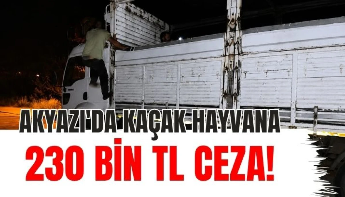 Anadolu Otoyolu Akyazı Ge&ccedil;işinde Ka&ccedil;ak Sevkiyata Ge&ccedil;it Yok!
