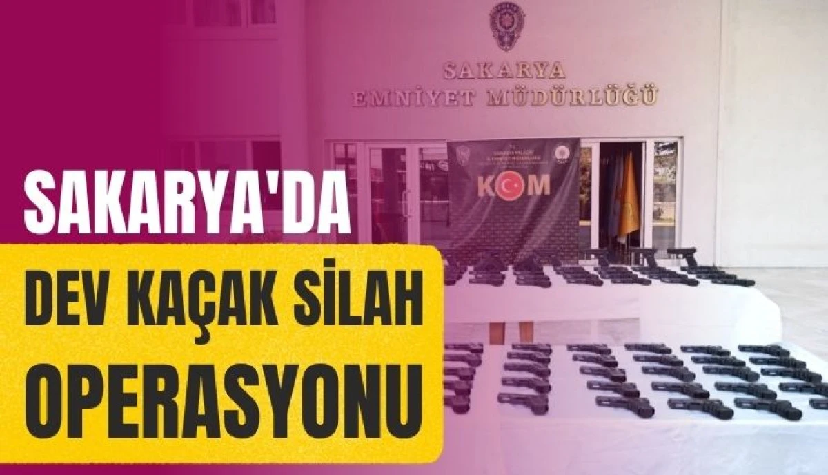 D650&rsquo;de Silah Sevkiyatına Darbe 100 Ruhsatsız Tabanca Ele Ge&ccedil;irildi