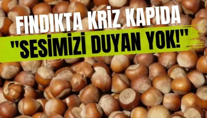 Fındık &uuml;reticisi zor durumda!