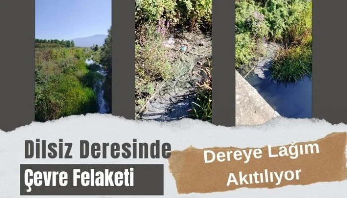 Lağım Dereye Akıyor, Koku Dayanılmaz