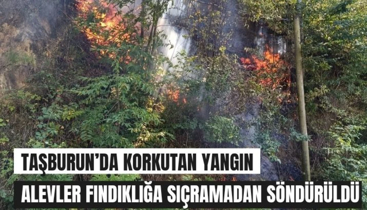 R&uuml;zgar Tehlikeyi B&uuml;y&uuml;tt&uuml;, Ekipler Zamanında M&uuml;dahale Etti