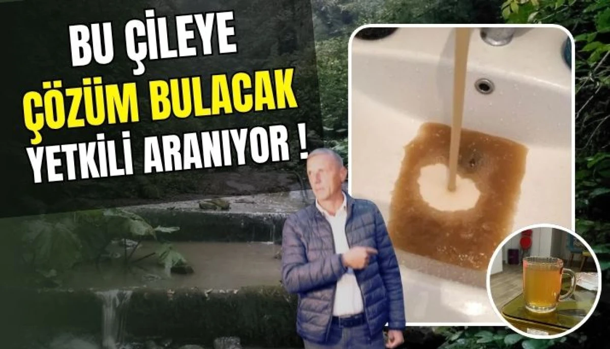 Sakarya Akyazı Taşburun'da 15 Yıllık Su Sorunu: Mahalleli İsyan Ediyor