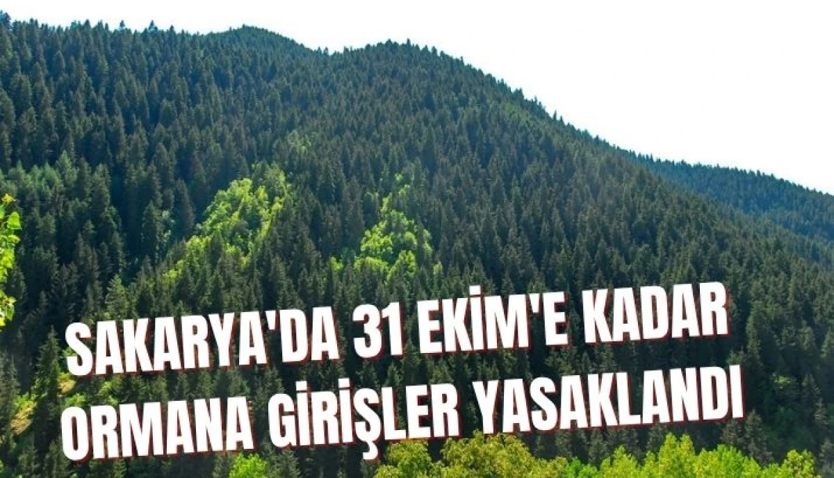 Sakarya&rsquo;da Ormanlara Giriş Yasaklandı İşte Yeni Tedbirler