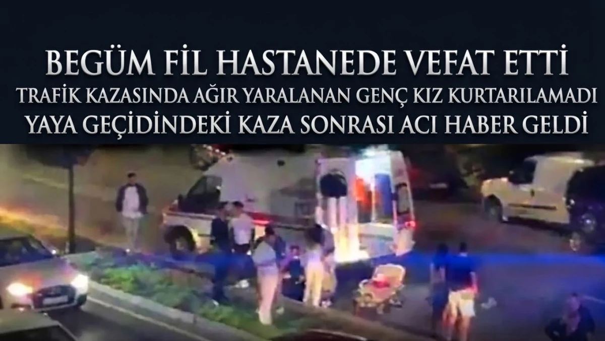 Yaya Ge&ccedil;idinde Can Alan Kaza