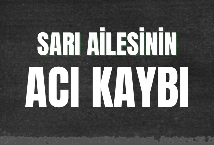 YÜCEL SARI