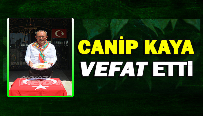 CANİP KAYA