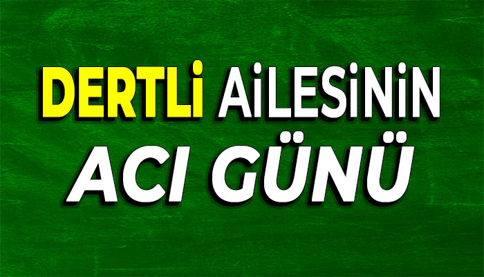 GÜLBİN DERTLİ