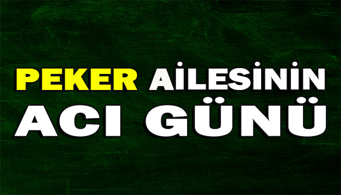 MİNEL PEKER