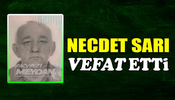 NECDET SARI