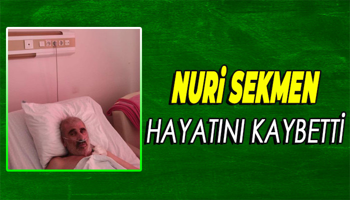 NURİ SEKMEN