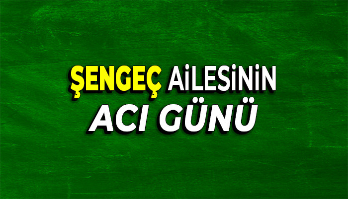 ŞENER ŞENGEÇ